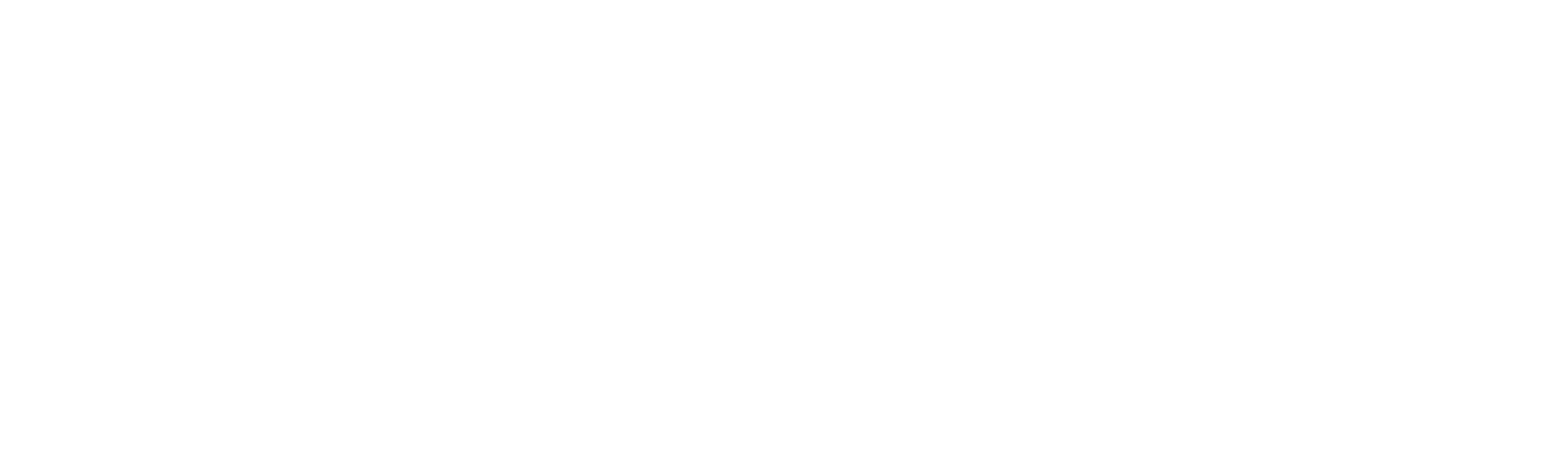 Logo Hypthon White